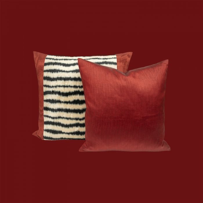 cse4-rojo-cd3dc2d4-80af-4a72-8ea0-af908c8a0ee4