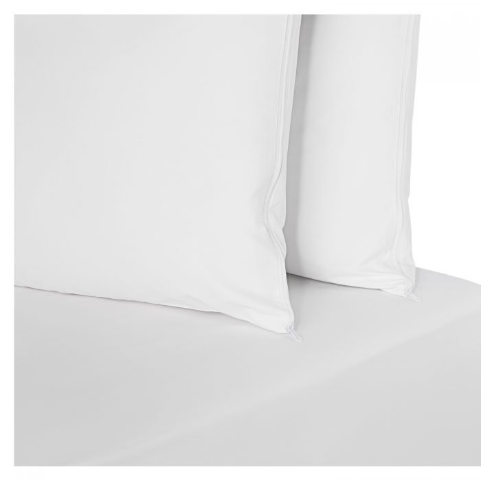 tcs0402300_1-14e4df46-617b-411e-9574-dc660e45e7ed