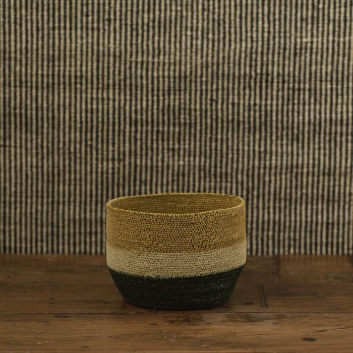 ces000044-e97311b7-66af-4c64-bf07-81fef5b35a31