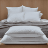 alm0900-p-portada-bb79d09e-14a1-4d1d-871f-0b6d32559103